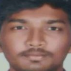 Praveenfreelancer Vincent-Freelancer in Mannivakkam,India
