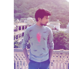Dhiraj Kumar-Freelancer in Jaipur,India