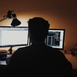 Sulaiman H-Freelancer in Mannargudi,India