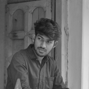 Ashish Sahu-Freelancer in Raipur,India