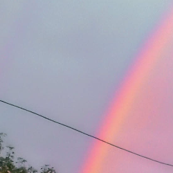 Sk Ameena-Freelancer in Nellore Andhra Pradesh,India