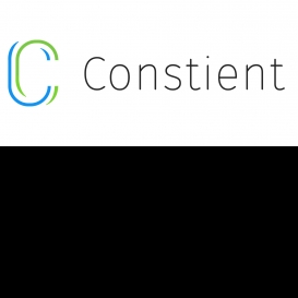 Constient Global Solutions-Freelancer in Chennai,India