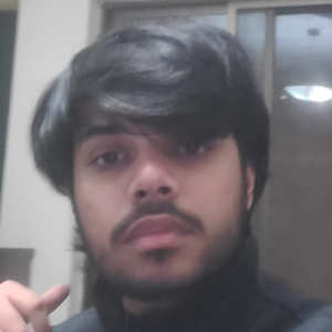 Umair Hussain-Freelancer in Lahore,Pakistan