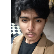 Sarthak Chauhan-Freelancer in New Delhi,India