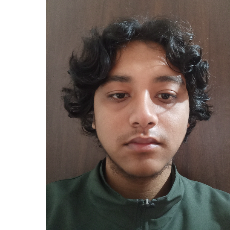 Krish Chhetry-Freelancer in Bara Mohansingh,India