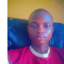 Olalekan Daniel-Freelancer in Canada,Nigeria