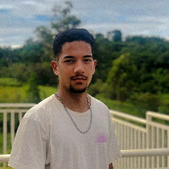 Paulo Henrique-Freelancer in São Paulo,Brazil