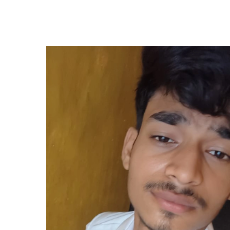 Ankit Kumar-Freelancer in Gaya,India