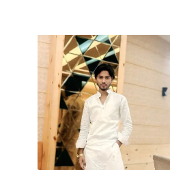 Raza Karim-Freelancer in Madhubani,India