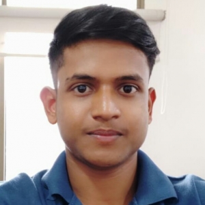 Manjunath Bheemaraya-Freelancer in Bengaluru,India