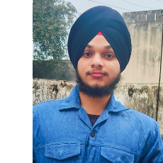 Yuvraj Singh-Freelancer in Ambala city,India