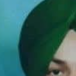 Lucky Gill-Freelancer in Ambala Sadar,India