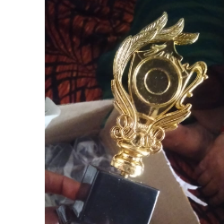 Nasreen Shaikh-Freelancer in Mumbai,India