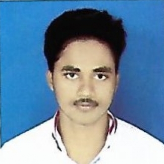 Sk Hasib Ali-Freelancer in Durgapur,India