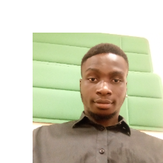 Joshua Okoro-Freelancer in Ibafo,Nigeria