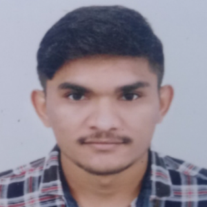 Bisan DataEntry-Freelancer in Sendhwa,India