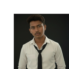 Chauhan Lalit-Freelancer in Ahmedabad,India
