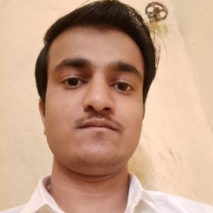 Arjun Kumar-Freelancer in Pali,India