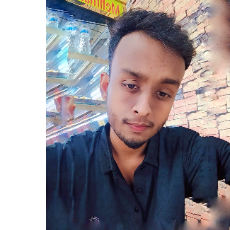 Md Arif Talukder-Freelancer in Mawna,Bangladesh