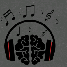 rexxy-Freelancer in Nakuru,Kenya