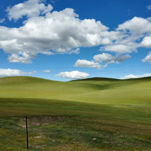 Joey Zhou-Freelancer in Singapore,China