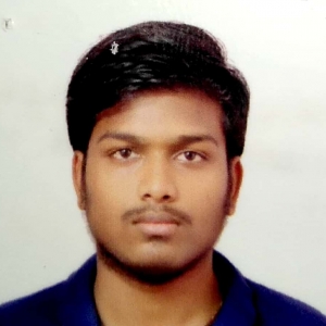 Pravineeth Edara-Freelancer in ,India