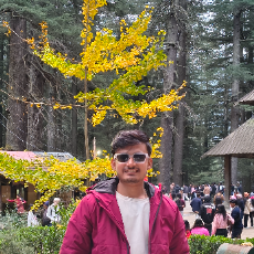 Krishna Gopal-Freelancer in Mathura,India