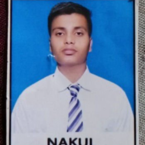 Nakul-Freelancer in Bareilly,India