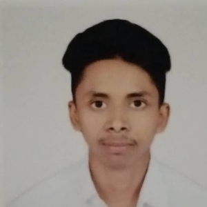 Dhiraj Kumar-Freelancer in New Delhi,India