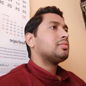 Karthik J-Freelancer in Bengaluru,India