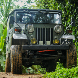 Vinuda Deenath-Freelancer in kaluthara,Sri Lanka