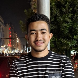 Hazem Mahmoud-Freelancer in Shibin al Kawm,Egypt