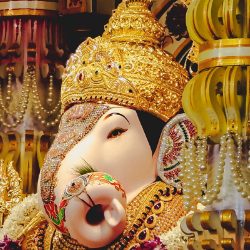 Ganesh Burgute-Freelancer in pune,India