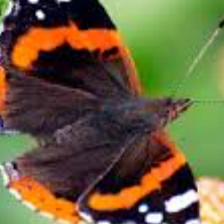 Akshay K R-Freelancer in Mysuru,India