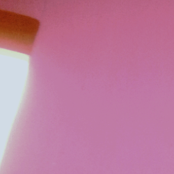 Adithya Nethmi-Freelancer in Mahiyanganaya,Sri Lanka