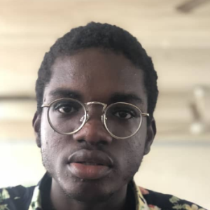 George Fabunmi-Freelancer in Lekki,Nigeria