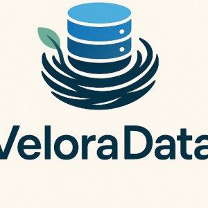 Velora Data-Freelancer in algeria,Algeria