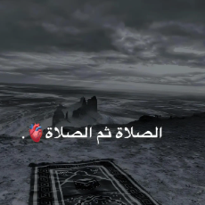 نور الحياه-Freelancer in mras,Turkey