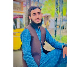 Hasnain Ghouri-Freelancer in Peshawer,Pakistan