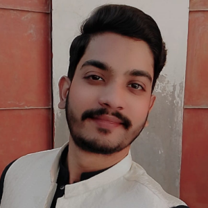 Zaid Hussain-Freelancer in Karachi,Pakistan