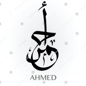 Ahmed Mohamed-Freelancer in ALEX,Egypt