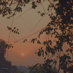 Sreeja-Freelancer in Hyderabad,India