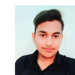 Harsh Kaushik-Freelancer in Bahadurgarh,India