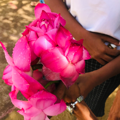 Chethana Sewwandi-Freelancer in Colombo,Sri Lanka