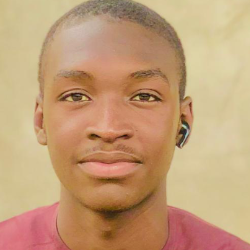 Abubakar Hassan-Freelancer in Maiduguri,Nigeria