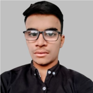 Muhammad Husnain-Freelancer in Lahore,Pakistan