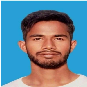 Salim Ansari-Freelancer in ARA PATNA,India