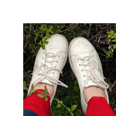 Soomii-Freelancer in Rawalpindi,Pakistan