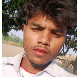 Lekhpal Rajput-Freelancer in Bulandshahar,India