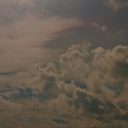 Ayesha Tasnim-Freelancer in cumilla,Bangladesh